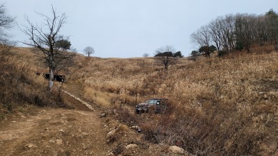 민둥산 억새